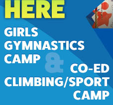 Home [www.exxcel.net]